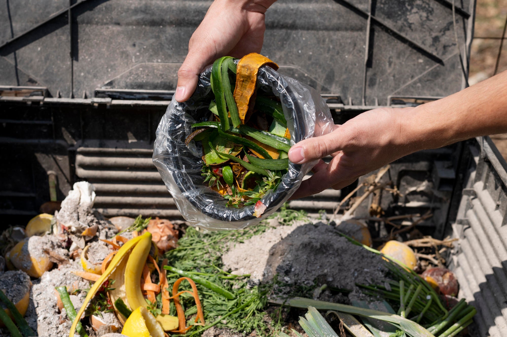 A Comprehensive Guide to Composting At Home: Nourishing the Earth and Reducing Waste