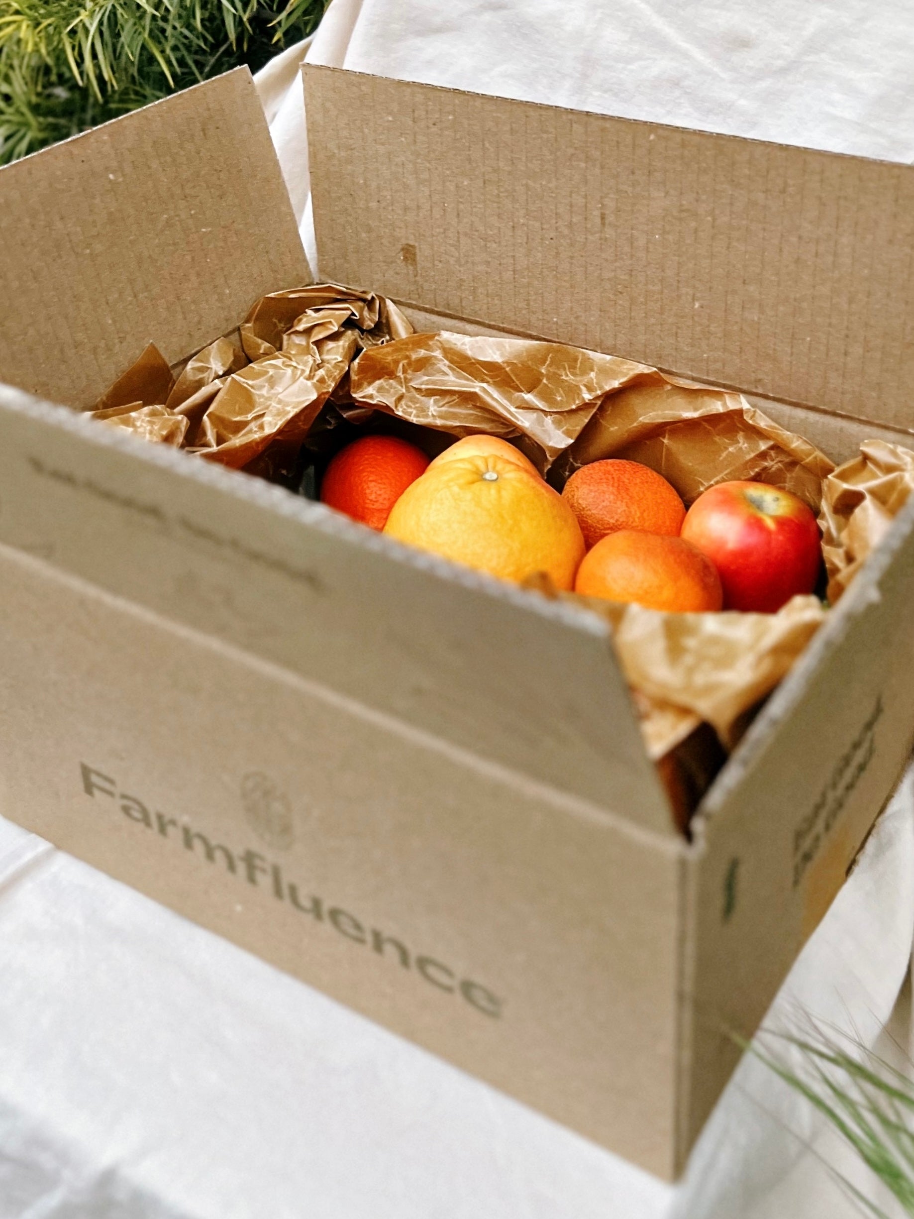 Organic Fruit Box