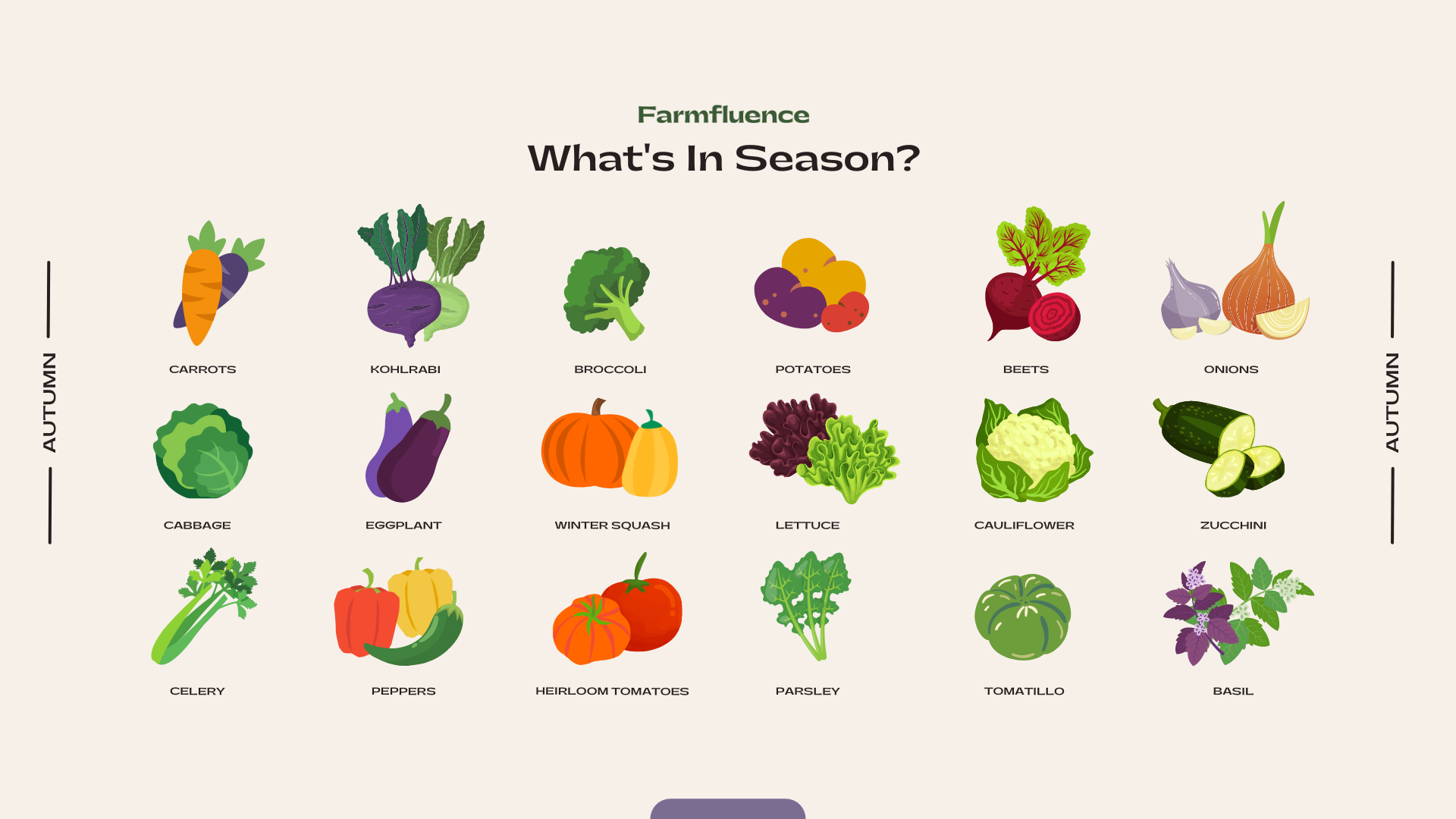Why Eating Local In-Season Food Matters