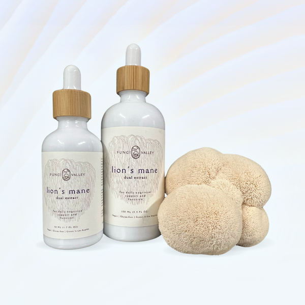 【HPS別注】MARIHA Ancient Memories Sun Lion Fungi_Valley_Lions_Mane_Tinctu