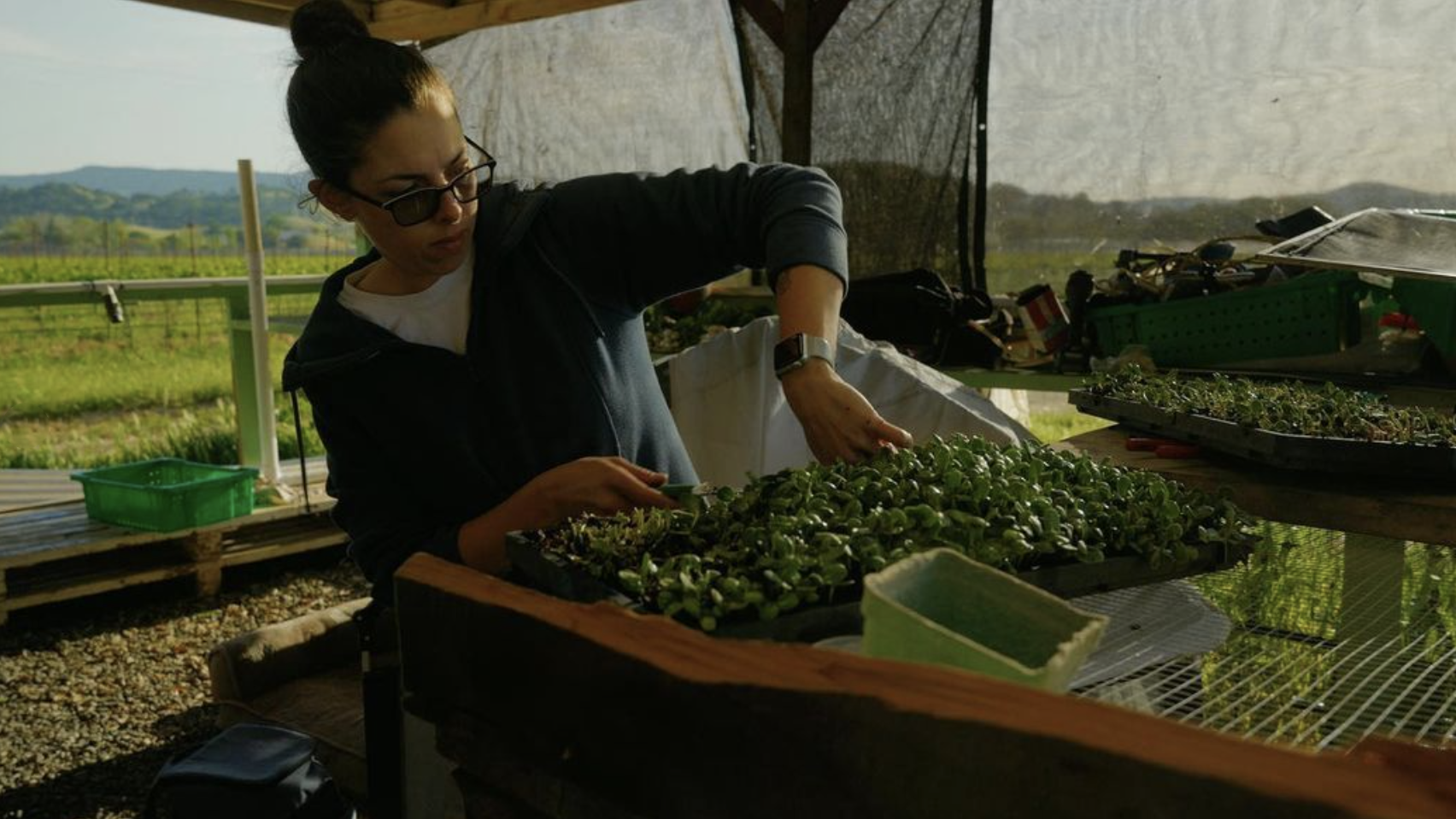 Regenerative Harvest Box